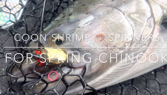 How To Use Shrimp And VIP Spinners To Catch Spring Chinook At Drano Lake.