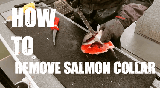 how-to-remove-salmon-collars
