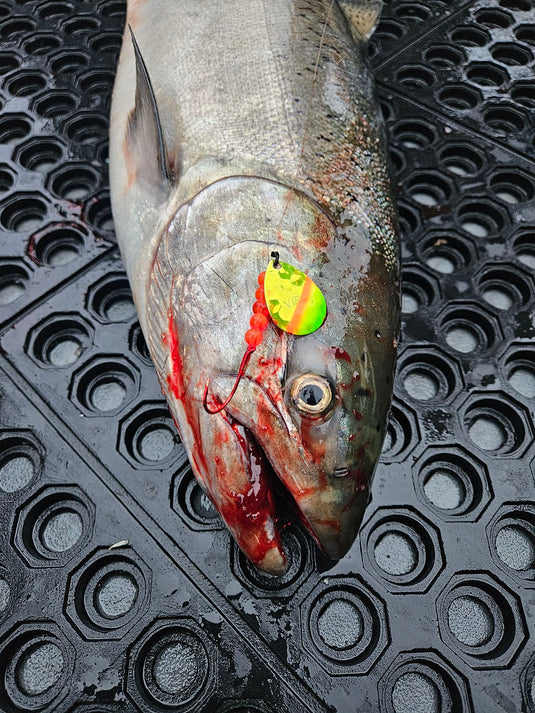 #3.5 Colorado