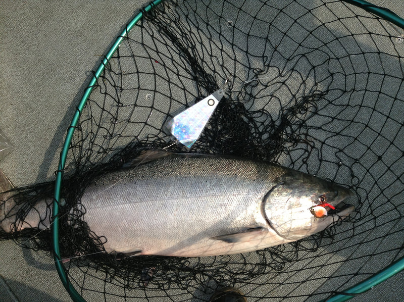 Load image into Gallery viewer, #5 Cascade &quot;Gold Christmas&quot; Salmon Spinner (Single spinner)
