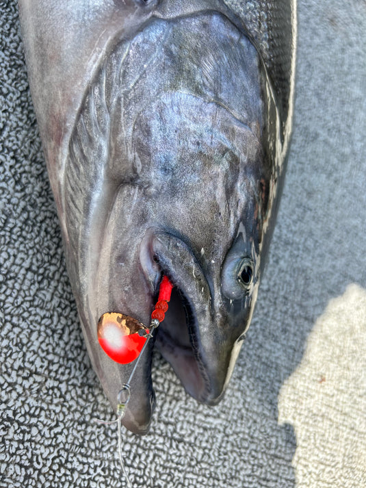 Salmon/Steelhead Spinners (Trolling) – VIP Outdoors
