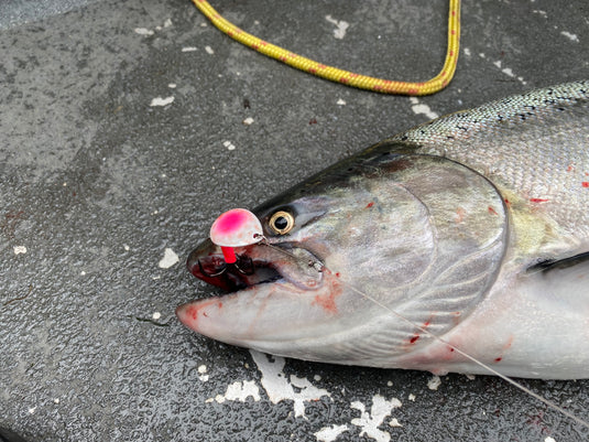 cotton candy fishing lures 3.5 Colorado "Cotton Candy" Salmon Spinner (Single Spinner) – VIP Outdoors
