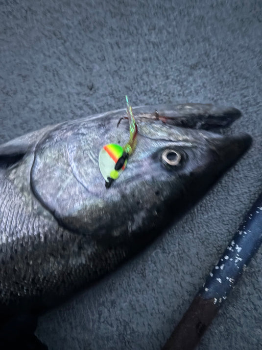 July 26' Monthly Tackle Box – VIP Outdoors