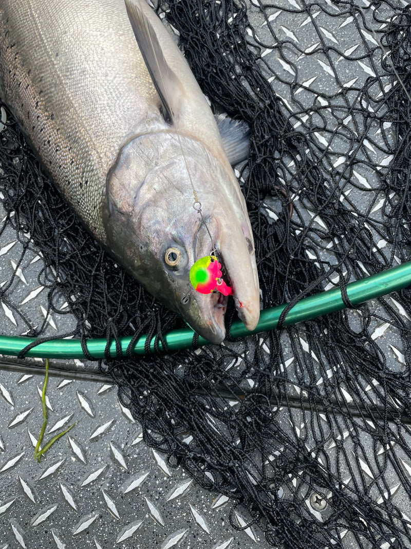 Load image into Gallery viewer, #3.5 Colorado &quot;The GOAT&quot; Salmon Spinner (Single Spinner)

