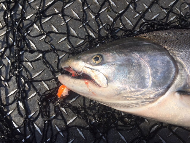 Load image into Gallery viewer, #3.5 Colorado &quot;Rust Bucket&quot; Salmon Spinner (single spinner)
