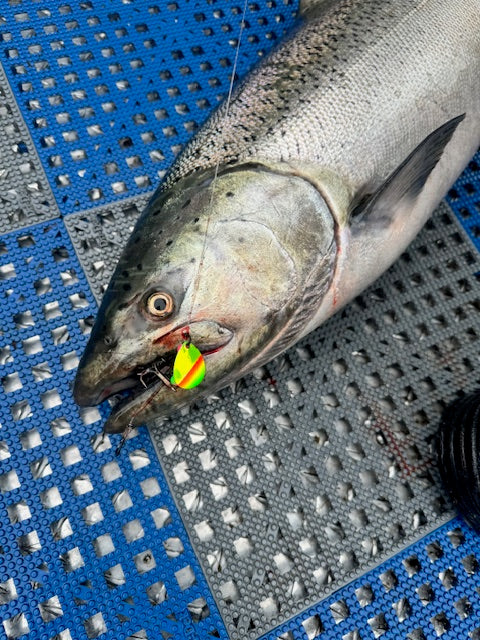 Load image into Gallery viewer, #3 Colorado &quot;I&#39;ve Gone Mad&quot; Salmon Spinner (Single Spinner)
